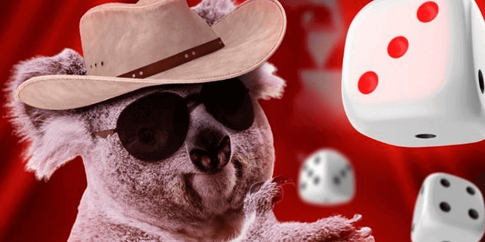 Покер для новачків і постійних гравців в онлайн казино Фавбет